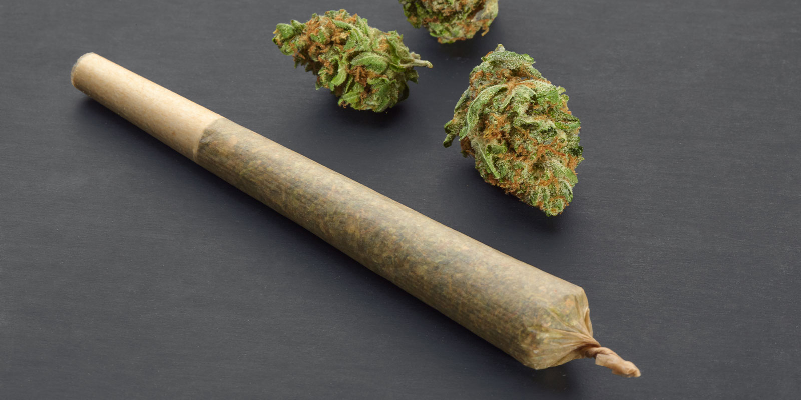 Euro Weed Clinic – Home of the Best Euro Cannabis Pre-Rolled Joints