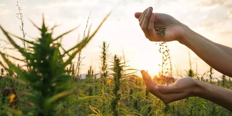 WhatsApp Image 2025-12-04 at 5.26.47 PM